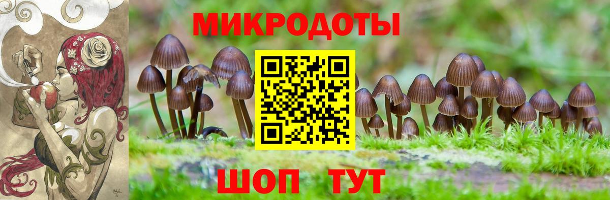 Галлюциногенные грибы прущие грибы Вольск