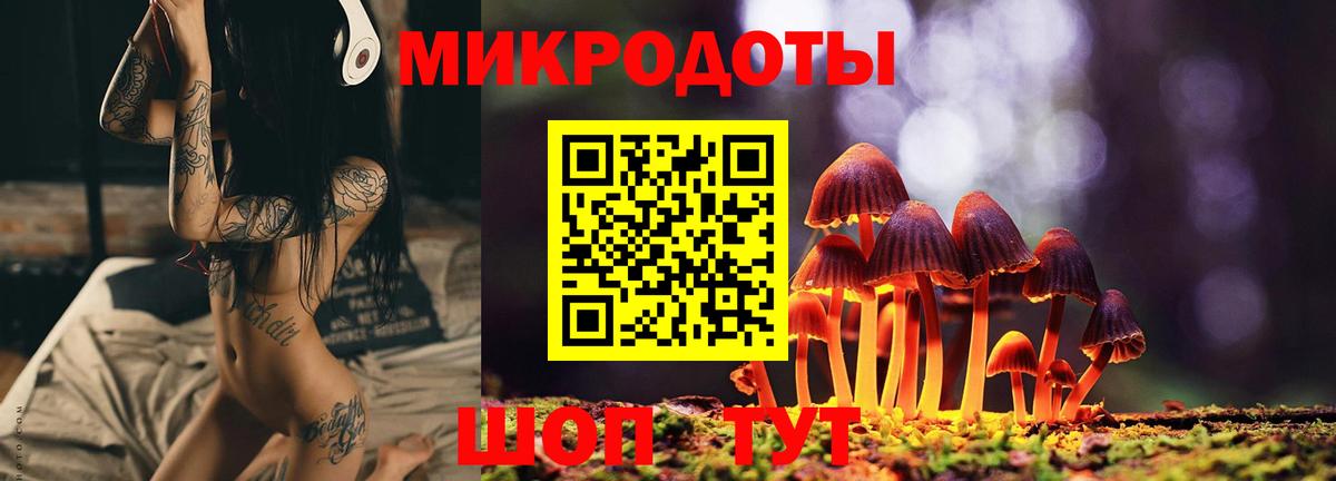 Вольск  Псилоцибиновые грибы ЛСД  Псилоцибиновые грибы Psilocybe  Вход с VPN 